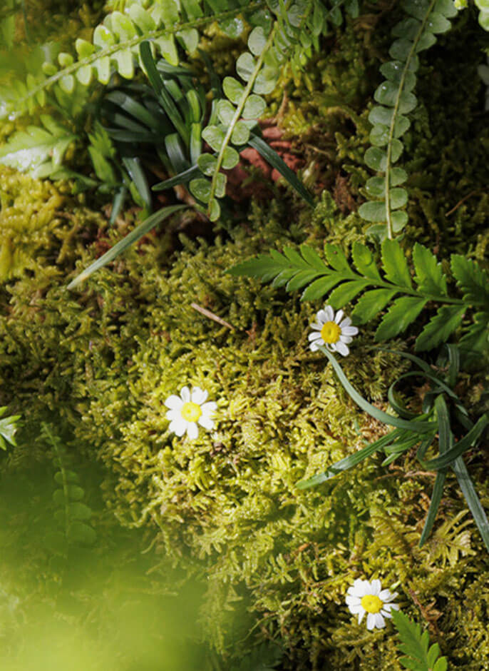Blanc Nature US